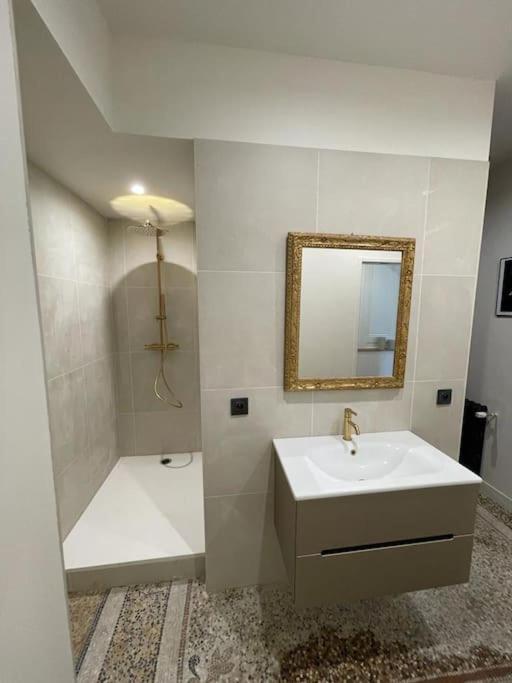 Appartement Chic Et De Caractere ! Saint-Cyr-au-Mont-d'Or Extérieur photo